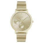 Hugo Boss Infinity Gold Steel Ladies Multi-Function Watch 1502520