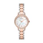 Emporio Armani Cleo Women's Watch AR11499