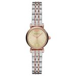 Emporio Armani Watch Ladies Gianni Watch AR1841