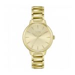 Hugo Boss Signature Ladies Watch 1502541